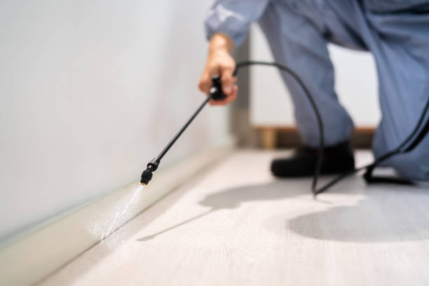 Licensed Pest Control service in Cressona, PA - Show Me Pest Control