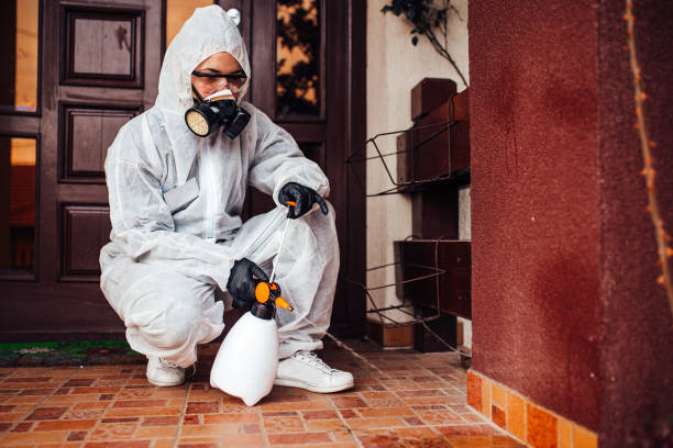 Attic and Crawl Space Rodent Treatment in Cressona