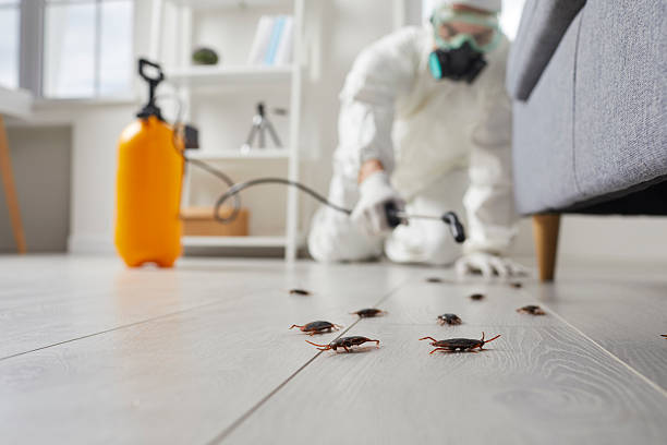 Commercial Rodent Management in Cressona